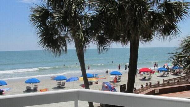 A beach view with palm trees, umbrellas, and people.