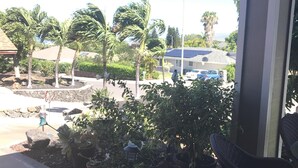 A covered outdoor area with a concrete floor, potted plants, and a wicker chair. - SUPER SPACIOUS! Privacy entrance. Comfortable and cozy. Quiet and peaceful! (Waikoloa Village)
