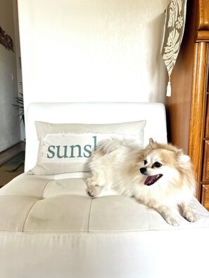 Interior - SUPER SPACIOUS! Privacy entrance. Comfortable and cozy. Quiet and peaceful! (Waikoloa Village)