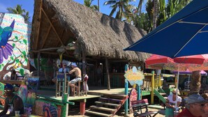 A beachside bar with colorful murals and a thatched roof.