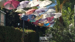 A pathway lined with colorful umbrellas and a sign that reads "Beach House Restaurant & Bar".