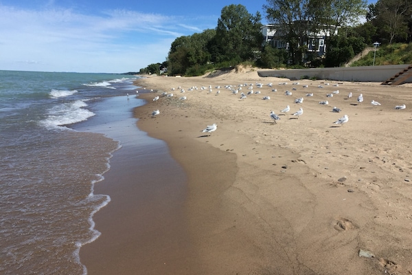 Strand