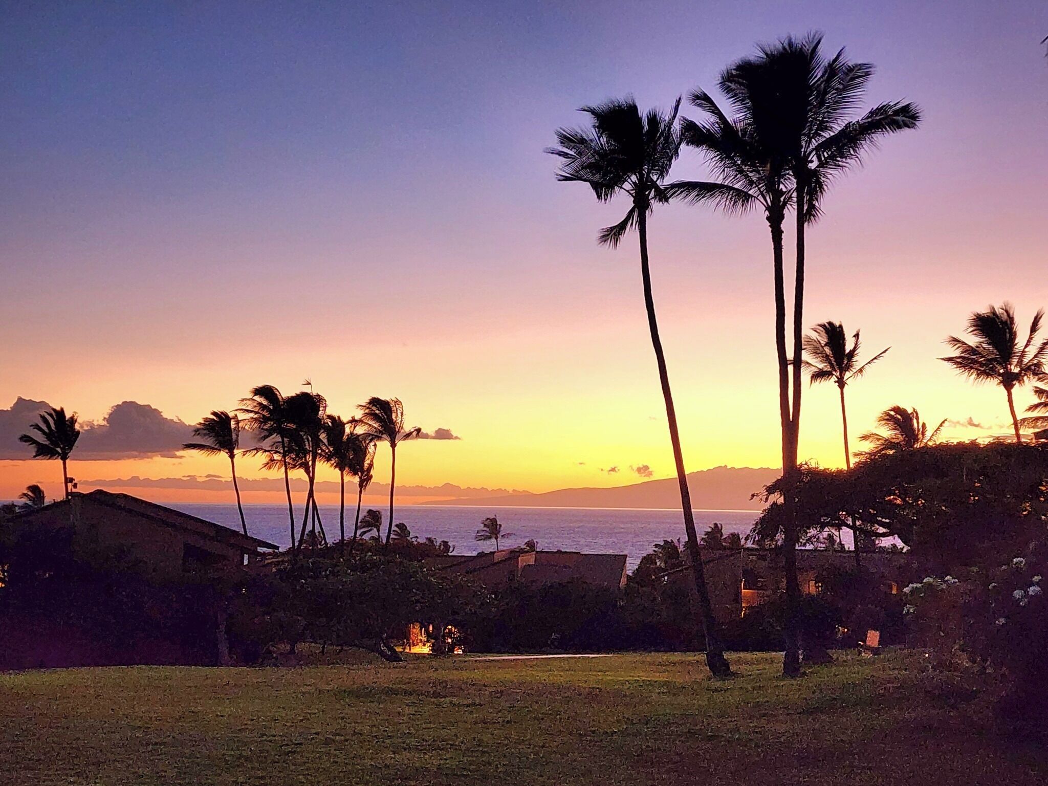 A sunset view with palm trees and a building in the foreground.