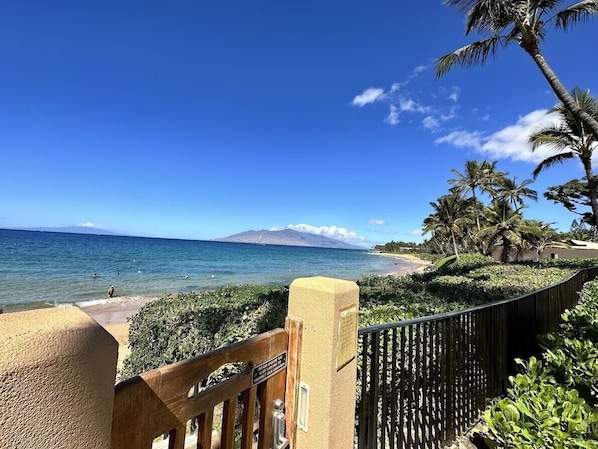A beach view with a wooden fence, palm trees, and a clear sky.