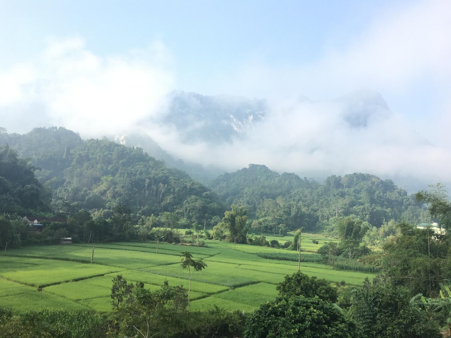 A lush green landscape with terraced fields and a mountain in the background.