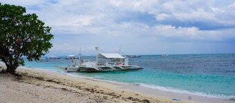 Mabuhay Thresher Dive