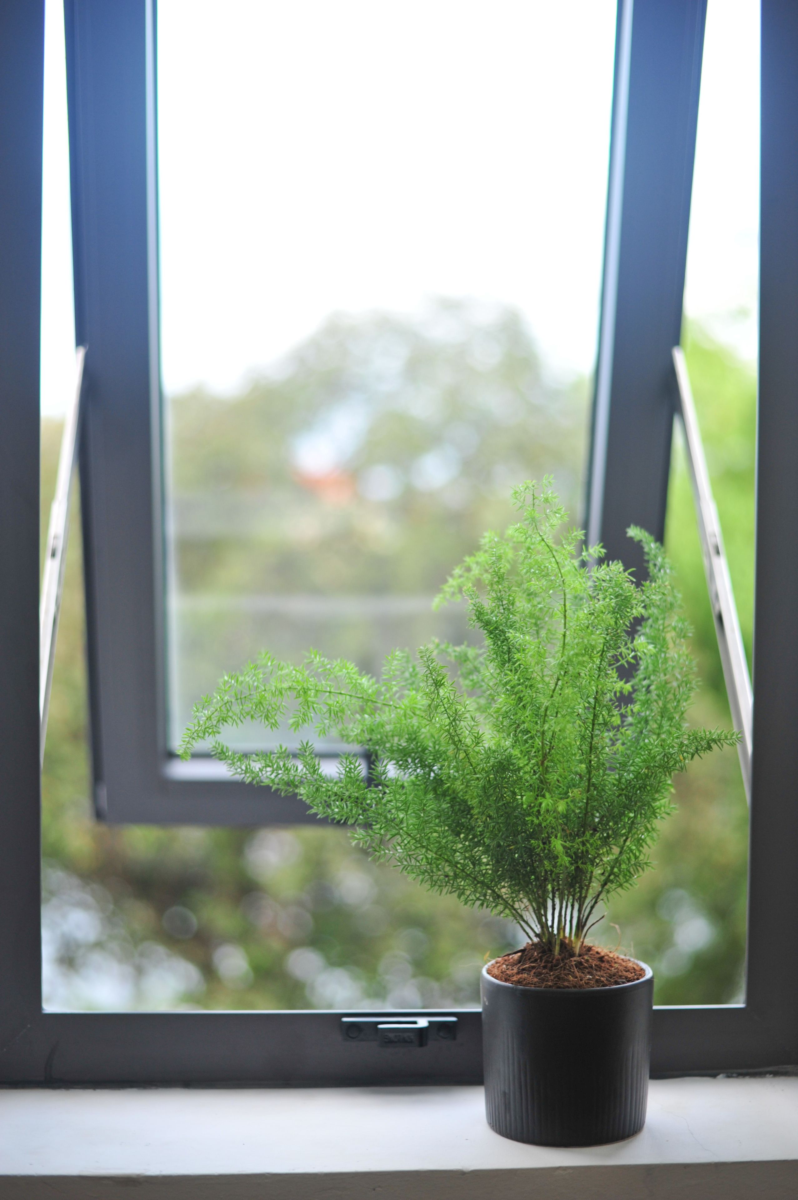 Photo - Hue Sweethouse 2 Homestay