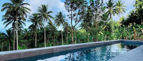 Outdoor pool, pool loungers
