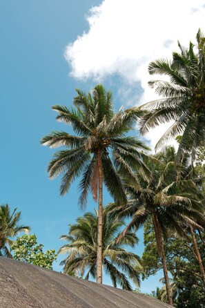 Exterior detail - Bintana Sa Paraiso Binunsaran (Mambajao)
