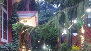 A pathway flanked by potted plants and trees, leading to a building entrance with steps. - Hotel Southgate Shimla (Shimla)