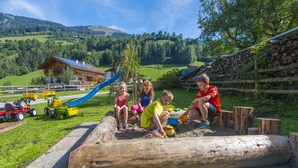 Children playing on a log in a grassy area with a playground in the background. - Tobhartbauer (Dorfgastein)