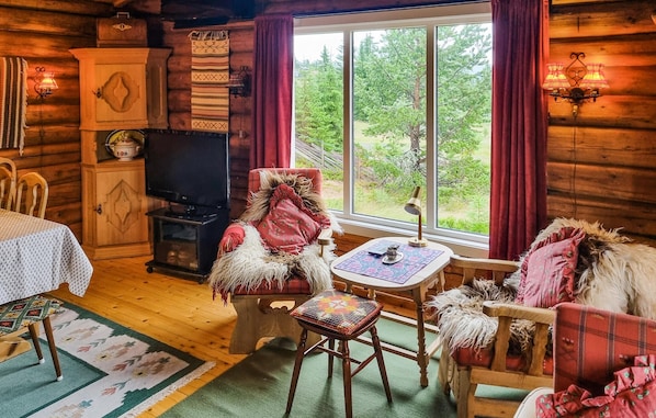 TV, fireplace - 3 bedroom stunning home in Sjusjøen (Sjusjøen)