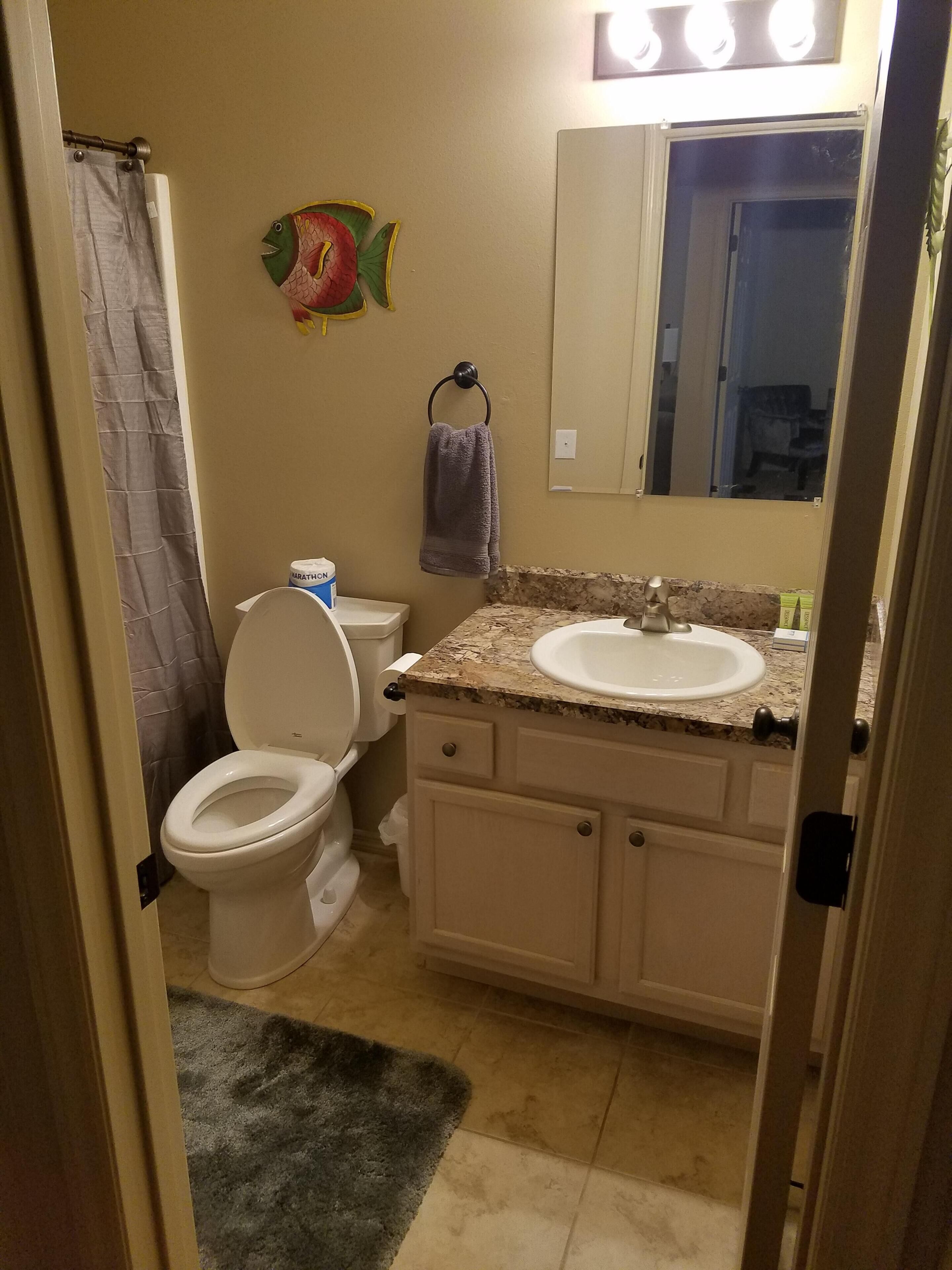 Un baño con inodoro, lavabo y espejo.