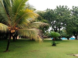 Jardín