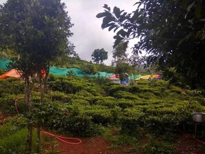 Property grounds - naturehutskotagiri (Kotagiri)