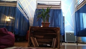 A room with a wooden bench, a potted plant, and blue curtains. - Lilus Hostel (Batumi)