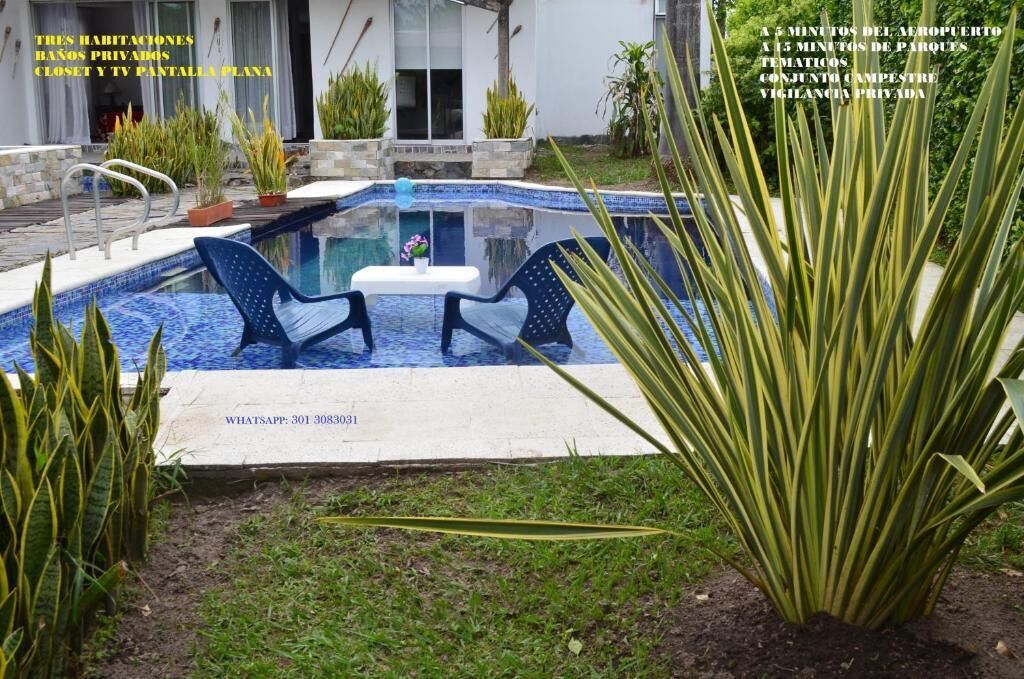 Una piscina con dos sillas, rodeada de plantas y una casa al fondo.