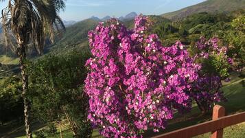 Área da propriedade