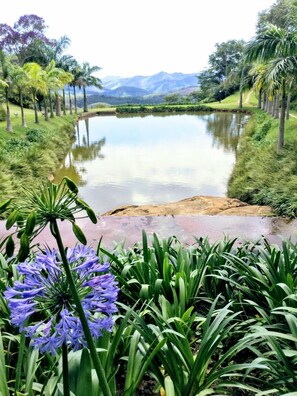 Land view from property - Ecolodge Vacation Resort Eldorado (Petrópolis)