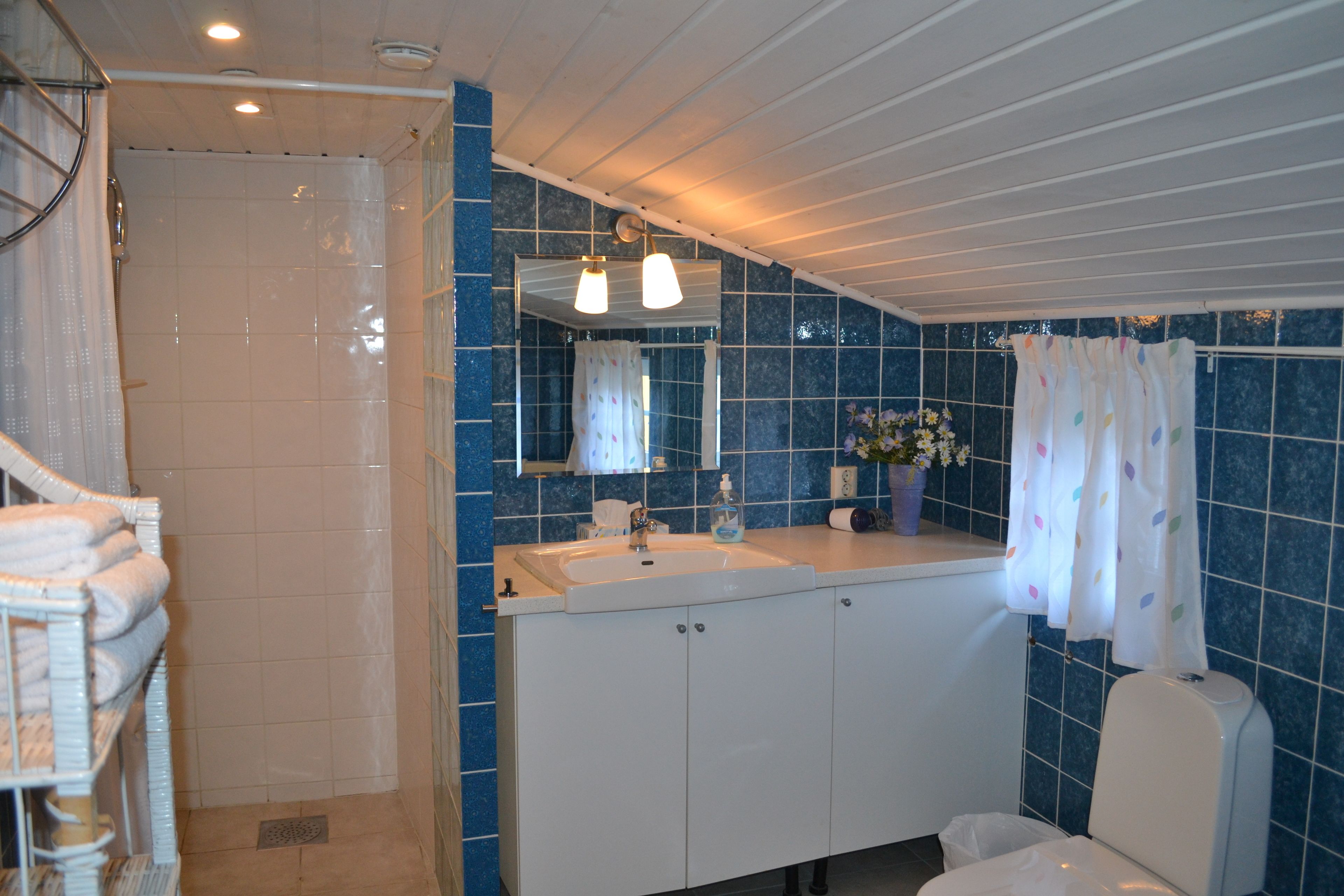 cabin, 1 double bed with sofa bed (archipelago cottage) | bathroom | shower, hair dryer, heated floors, towels