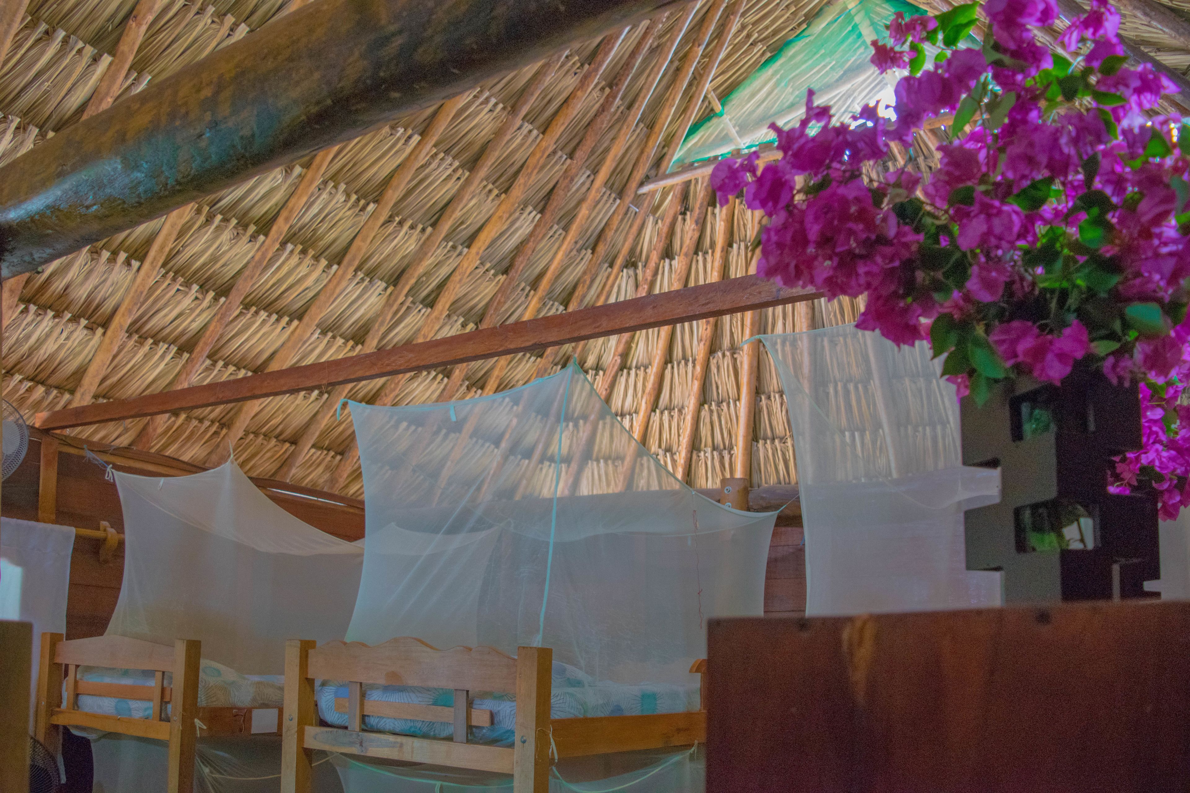 A room with a thatched roof, wooden bunk beds, and hanging white nets.
