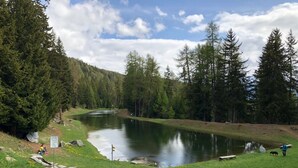 A serene lakeside setting with a grassy area, a small pond, and dense forest in the background.