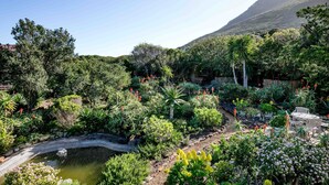 A lush garden with a variety of plants and a small pond. - House at Longbeach - upstairs apartment (Noordhoek, Chapmans Peak, Cape Town)