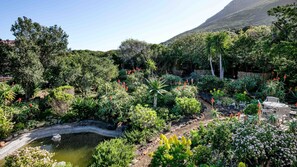 Property grounds - House at Longbeach - upstairs apartment (Noordhoek, Chapmans Peak, Cape Town)