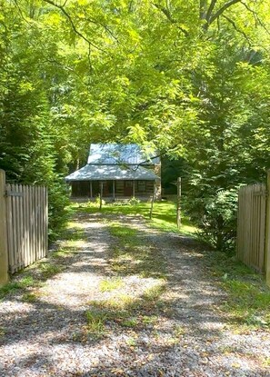 A gravel path leading to a cabin surrounded by dense green foliage.