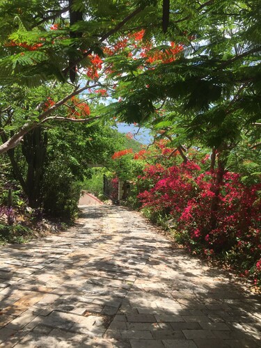 Lion's Gate Getaway- Lush Setting.  Check for seasonal discounts