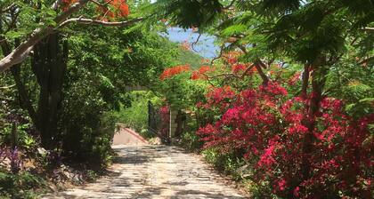 Lions Gate Getaway-Lush Lage bietet einen Blick St. John & Tortola