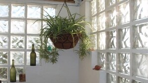 A room with a hanging plant, a window with a view, and a shelf with bottles. - Lion's Gate Getaway- Lush Setting.  Check for seasonal discounts (St. Thomas,)