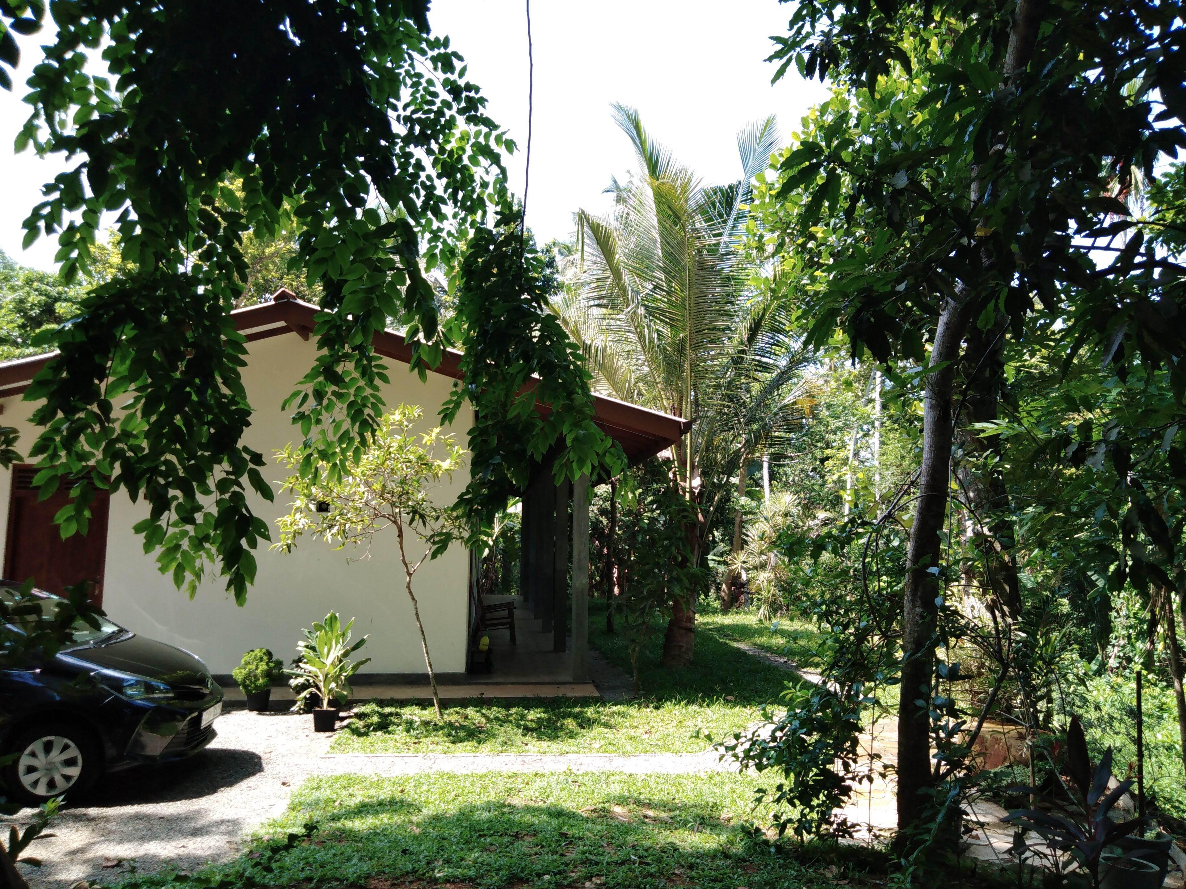 A house with a small porch, surrounded by lush greenery and a palm tree.