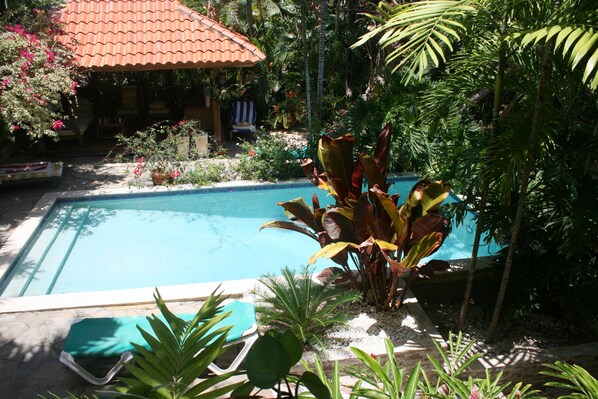 Una piscina rodeada de exuberante vegetación tropical y una estructura de techo con baldosas.