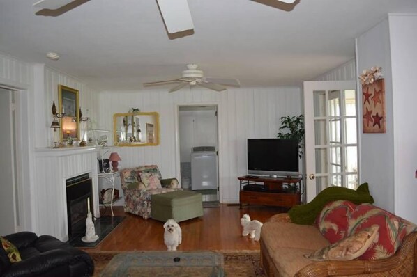 A living room with a fireplace, television, and two dogs.