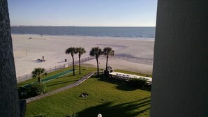 A beach view from a balcony with a grassy area, palm trees, and a fence.