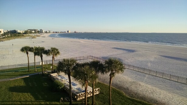 A beach with a fenced area, palm trees, and a view of the ocean.