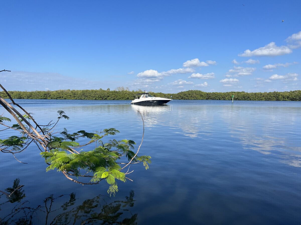 A calm lake with a boat in the center, surrounded by dense greenery and a clear sky.