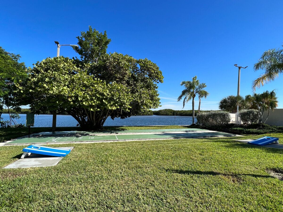 A grassy area with a large tree, a tennis court, and a body of water in the background.
