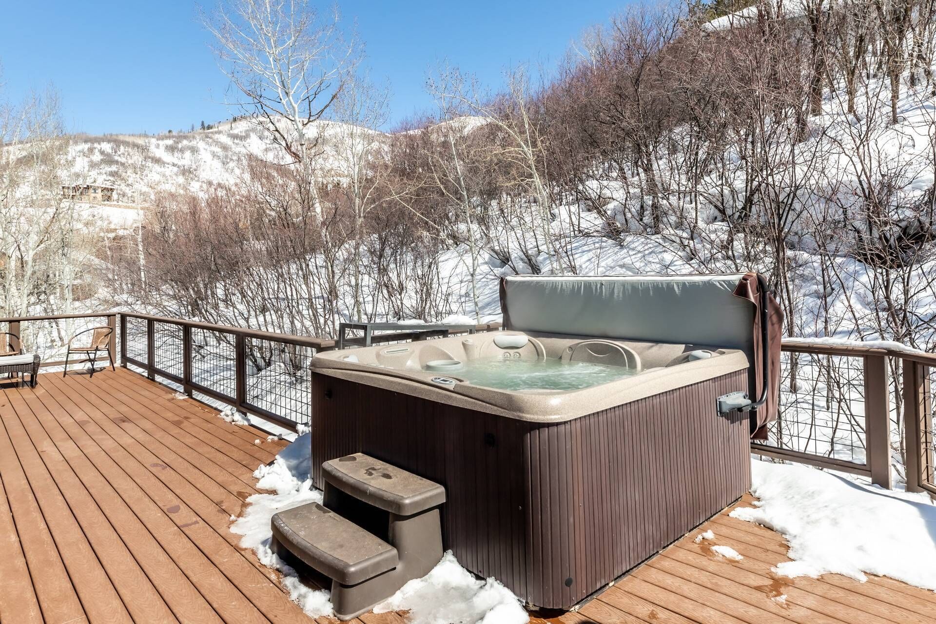 Baignoire à remous extérieure