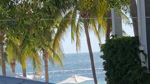 Vista di una zona costiera con palme, una spiaggia e un edificio con facciata gialla.