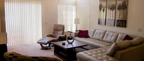 Televisión, chimenea, reproductor de DVD y libros