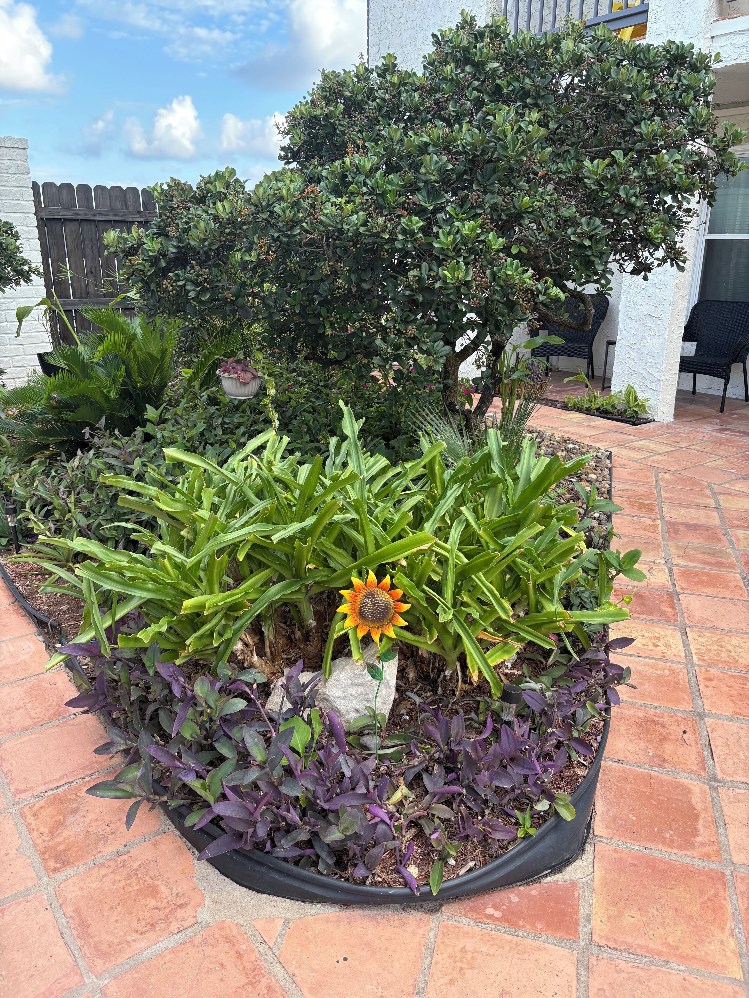 A garden with various plants and a wooden fence.