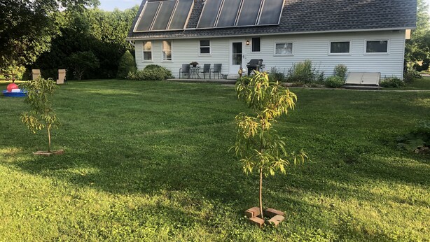 A house with solar panels on the roof, a well-maintained lawn, and a small tree in the front yard. - New photos with many updates! Bring your EV cord and adapter!  Walk to the fun! (Stonington)