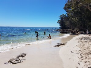 A sandy beach with clear blue water, rocky outcrops, and trees. - Fantastic Location - Top Rated. (Vincentia)