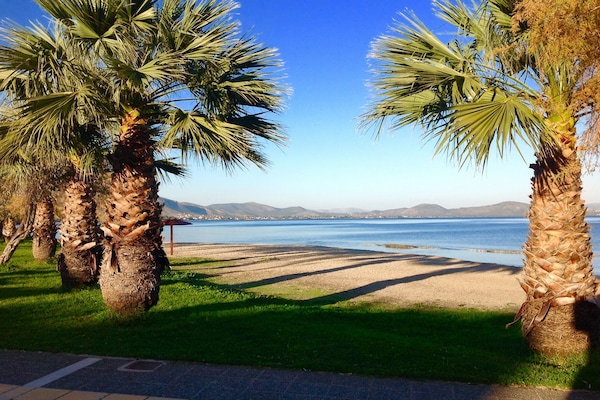 Una playa cerca, sillas reclinables de playa