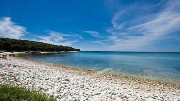 Una playa de guijarros blancos, agua cristalina y una línea de árboles distante bajo un cielo azul.