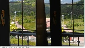Vista a través de una ventana con celosía metálica que muestra un paisaje montañoso con vegetación y una carretera.