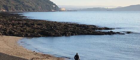 Playa en los alrededores y camastros