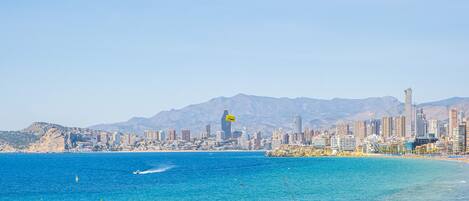 بالقرب من الشاطئ